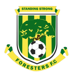 club logo