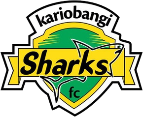 club logo