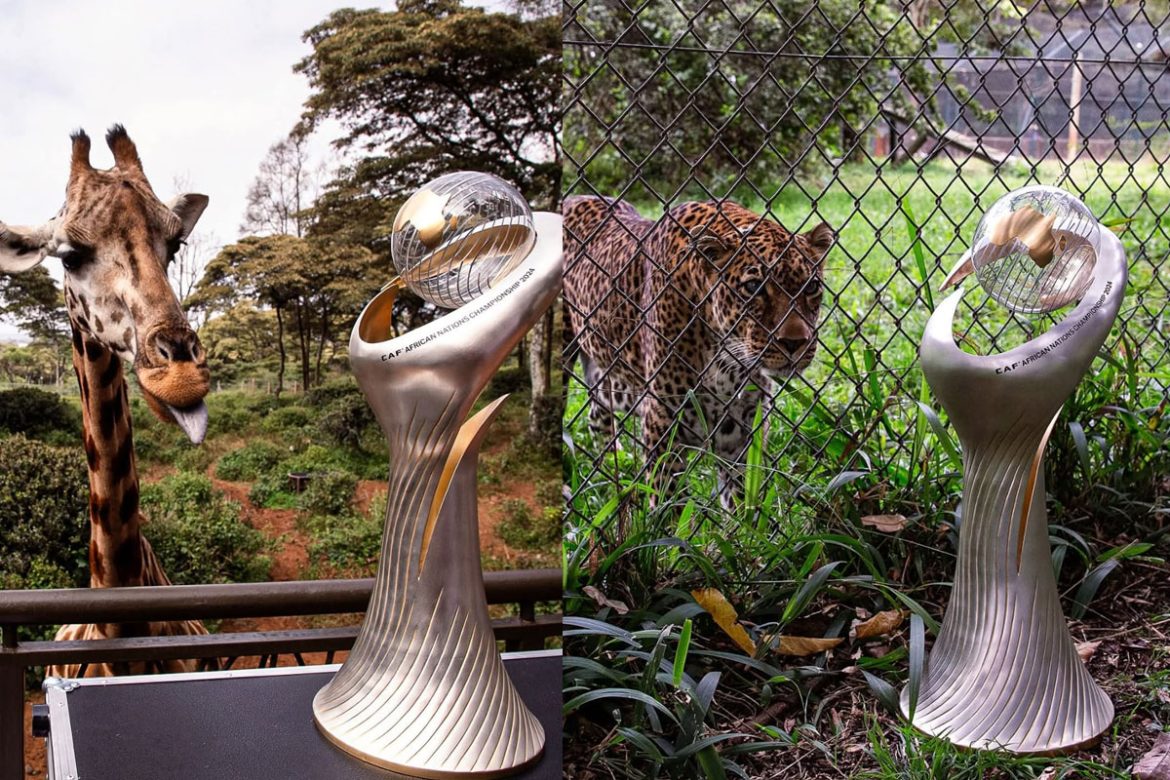 the-trophy